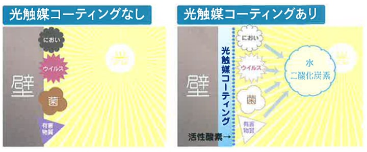 光触媒コーティング　あり・なし差分